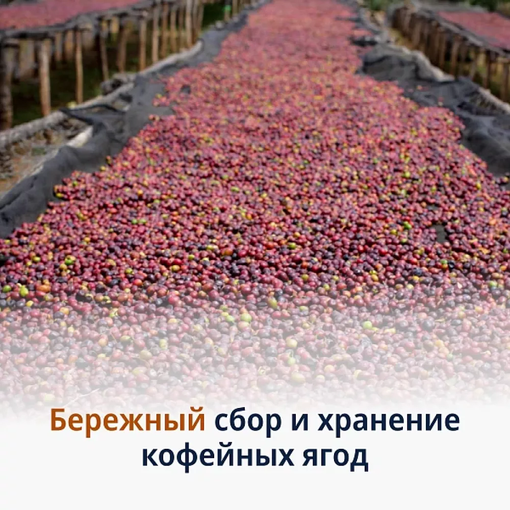 Кофе в зёрнах DeLonghi Signature Caffeine Blend 1кг