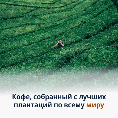 Кофе в зёрнах DeLonghi Signature Caffeine Blend 1кг