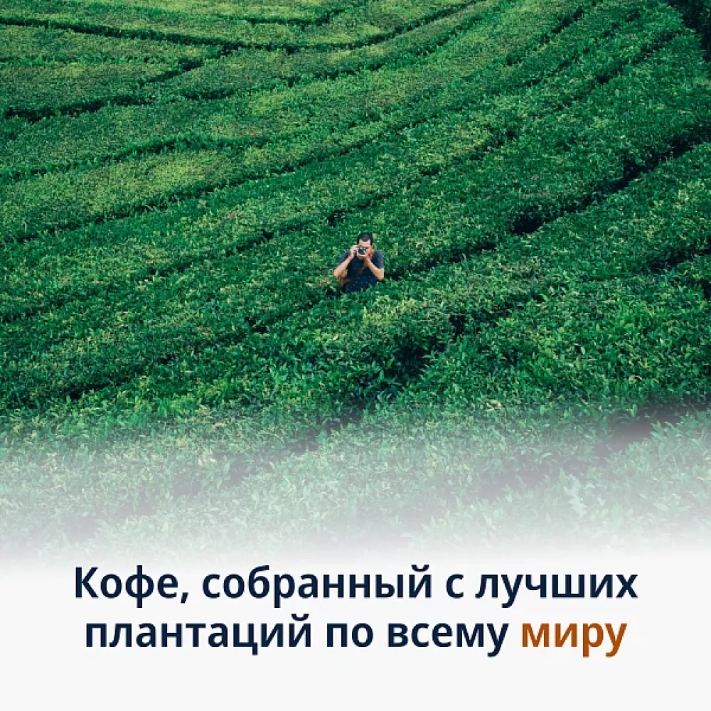 Кофе в зернах DeLonghi Signature coffee Espresso blend